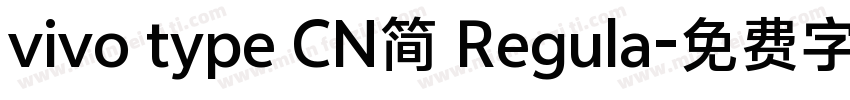 vivo type CN简 Regula字体转换